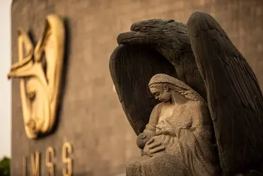 Instituto Mexicano del Seguro Social (IMSS)